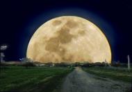 Доманівка - Останні фото