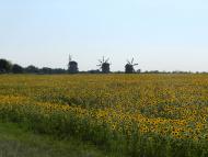 Вереміївка з panoramio.com