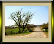 Бандурове з panoramio.com