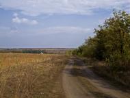 Катеринівка з panoramio.com