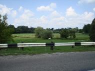 Кончаки з panoramio.com