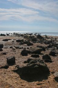 Львово - Последние фото