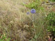 Зеленогір'я - Останні фото