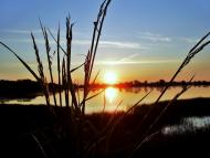 Рудники - Останні фото