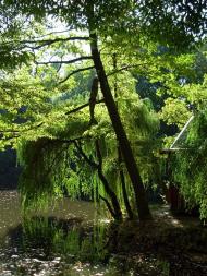 Краснокутськ - Останні фото