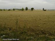 Вишневе з panoramio.com