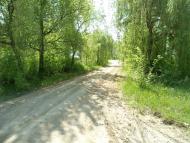 Степанівка - Останні фото