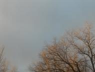 Новий Розділ з panoramio.com