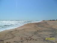 Стрелковое - Последние фото