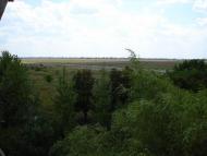 Петрівка - Останні фото