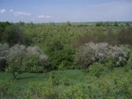 Солгутове - Останні фото