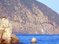 Гурзуф з panoramio.com (ч.3)