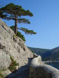 Новий Світ з panoramio.com (ч.4)