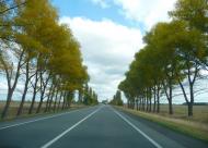 Лихачів з panoramio.com