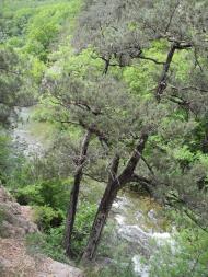 Тернівка з panoramio.com (ч.3)