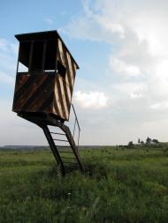 Степне з panoramio.com