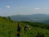 Кічерний - Останні фото