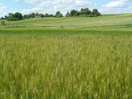 Глинськ з panoramio.com