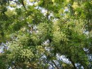 Феодосія з panoramio.com (ч.4)