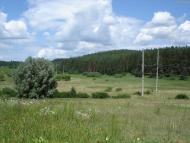 Музичі з panoramio.com