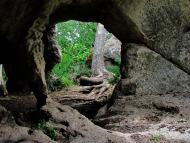 Тернівка з panoramio.com (ч.3)