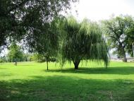 Донецьк з panoramio.com (ч.12)