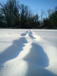 Донецьке з panoramio.com