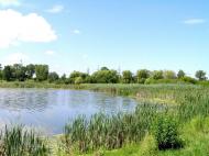 Новий Розділ з panoramio.com