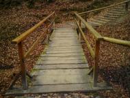 Козулька - Последние фото