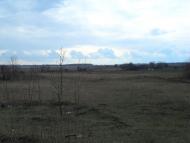 Мінеральне з panoramio.com