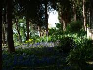 Лазурне з panoramio.com