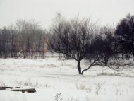 Шкільне з panoramio.com