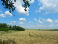 Катеринівка з panoramio.com