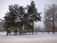 Кролевець з panoramio.com