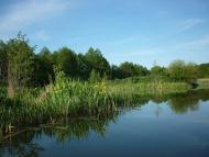 Воргол - Последние фото