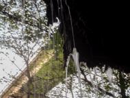 Семенівка - Останні фото