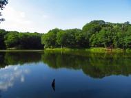 Карло-Марксове з panoramio.com