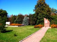 Корсунь-Шевченківський з panoramio.com