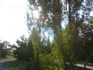 Новоамвросіївське - Останні фото