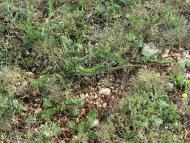 Мраморне з panoramio.com (ч.2)