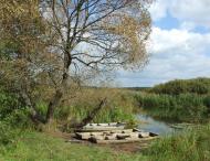 Доротище з panoramio.com