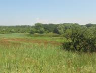 Новий Розділ з panoramio.com