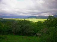 Краснолісся з panoramio.com