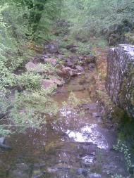 Научний з panoramio.com