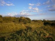 Берездівці з panoramio.com