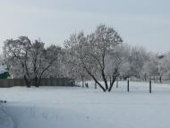 Литвинівка - Останні фото