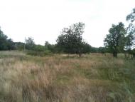 Любитове - Останні фото