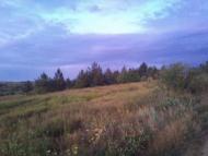 Новоамвросіївське з panoramio.com