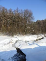 Жабка - Останні фото