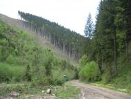 Говерла з panoramio.com (ч.2)